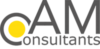 AM Consultants