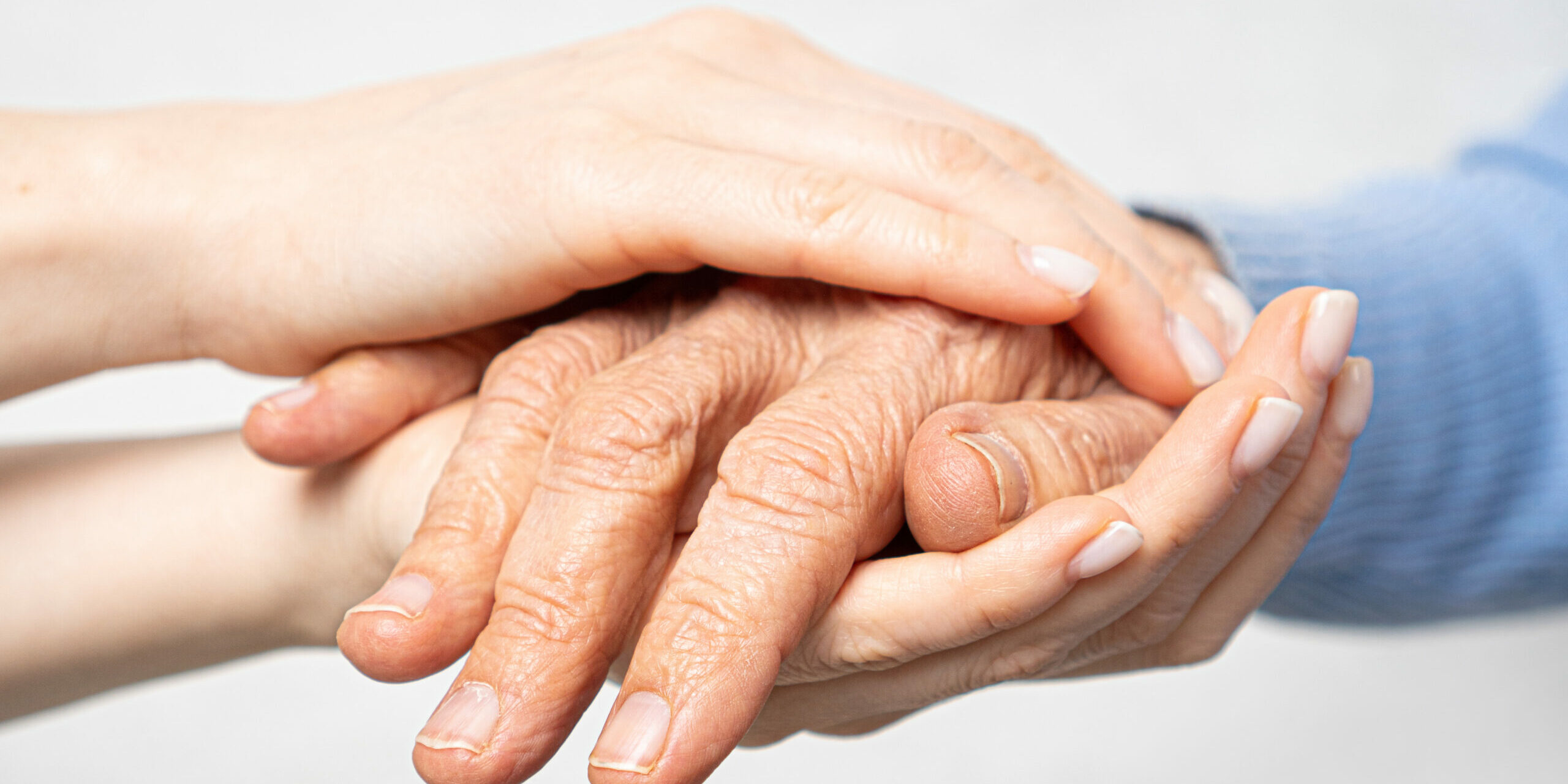 Young,Hands,Hold,Old,Hands.,Support,For,The,Elderly,Concept.